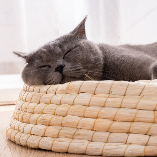 Handcrafted Straw Woven Cat Bed