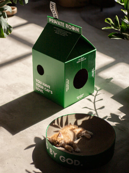 Cat scratching box
corrugated cardboard