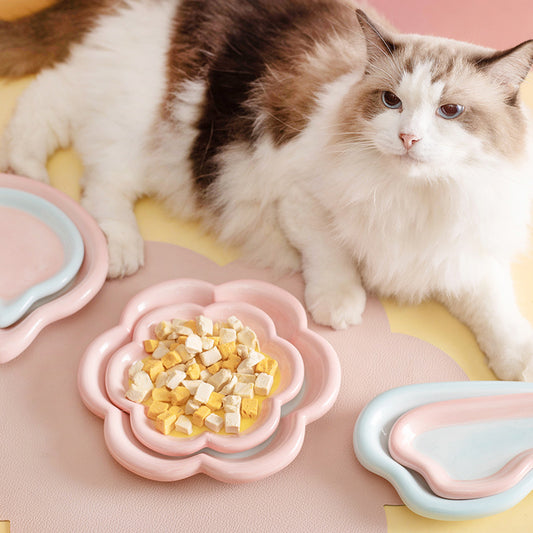 Hand-painted Doodle Cat Bowl